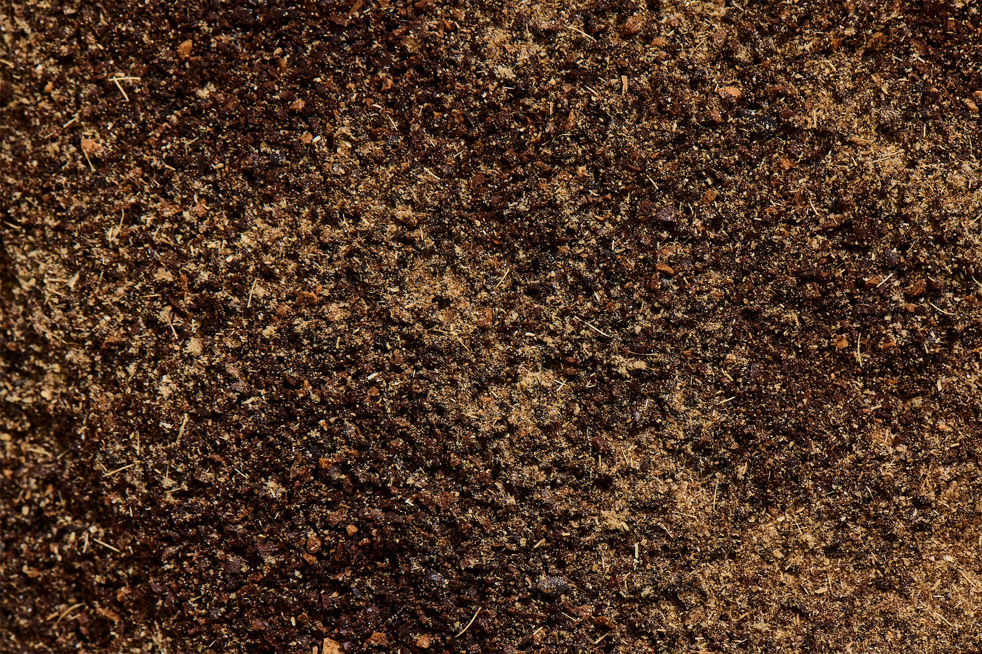 Close-up of vanilla bean powder and ground lavender on coffee grounds