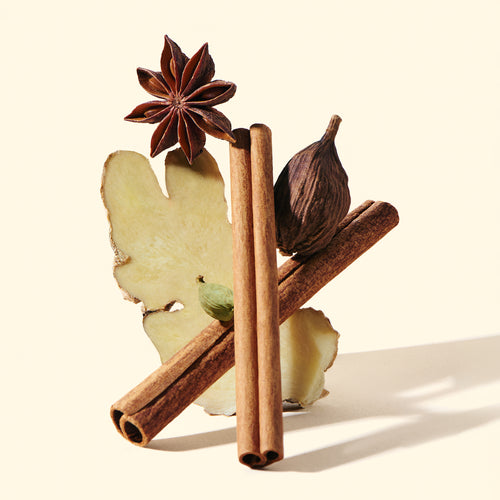 Spices including cinnamon sticks, star anise, and a dried fig on a light background