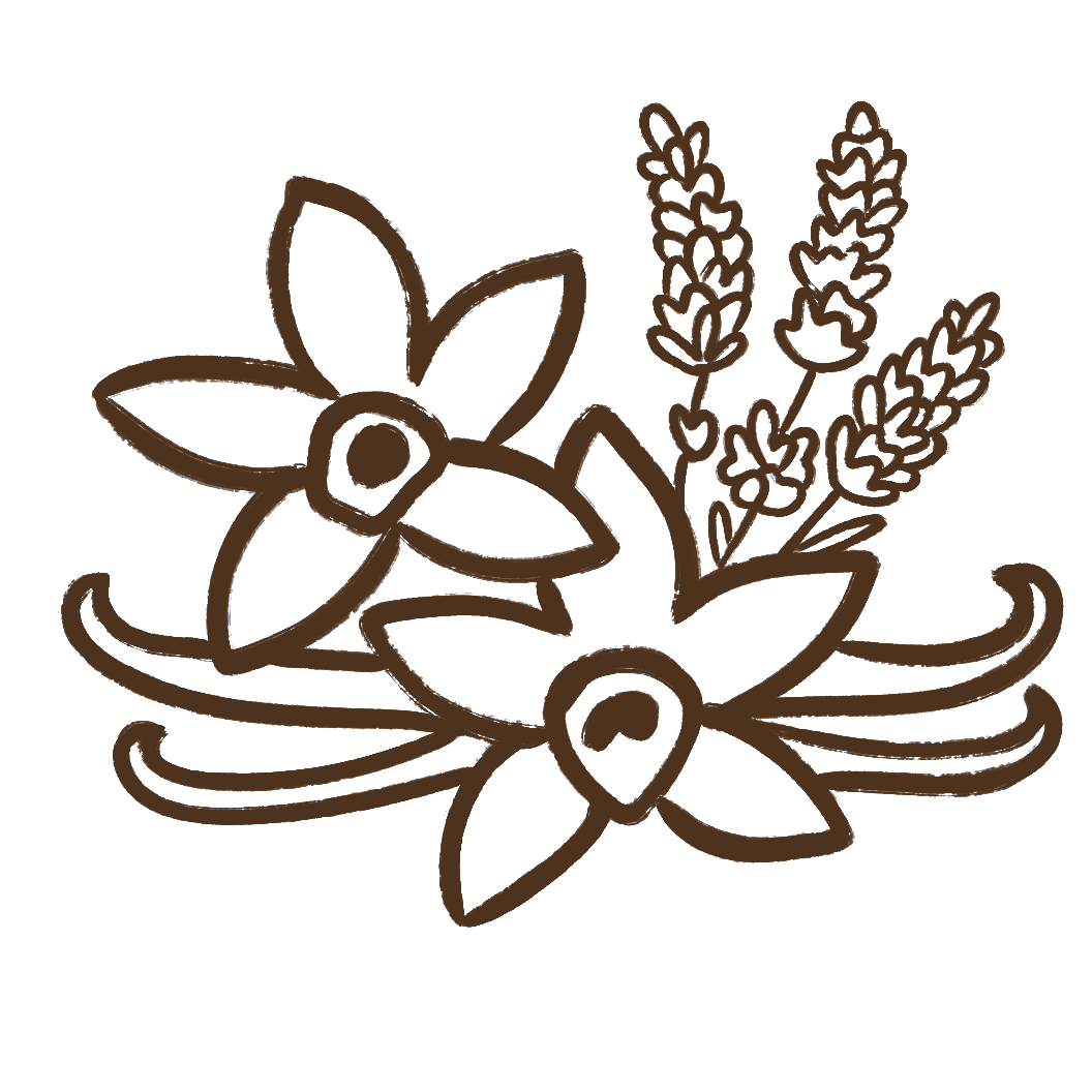 Decorative illustration of flowers and leaves in brown on a white background