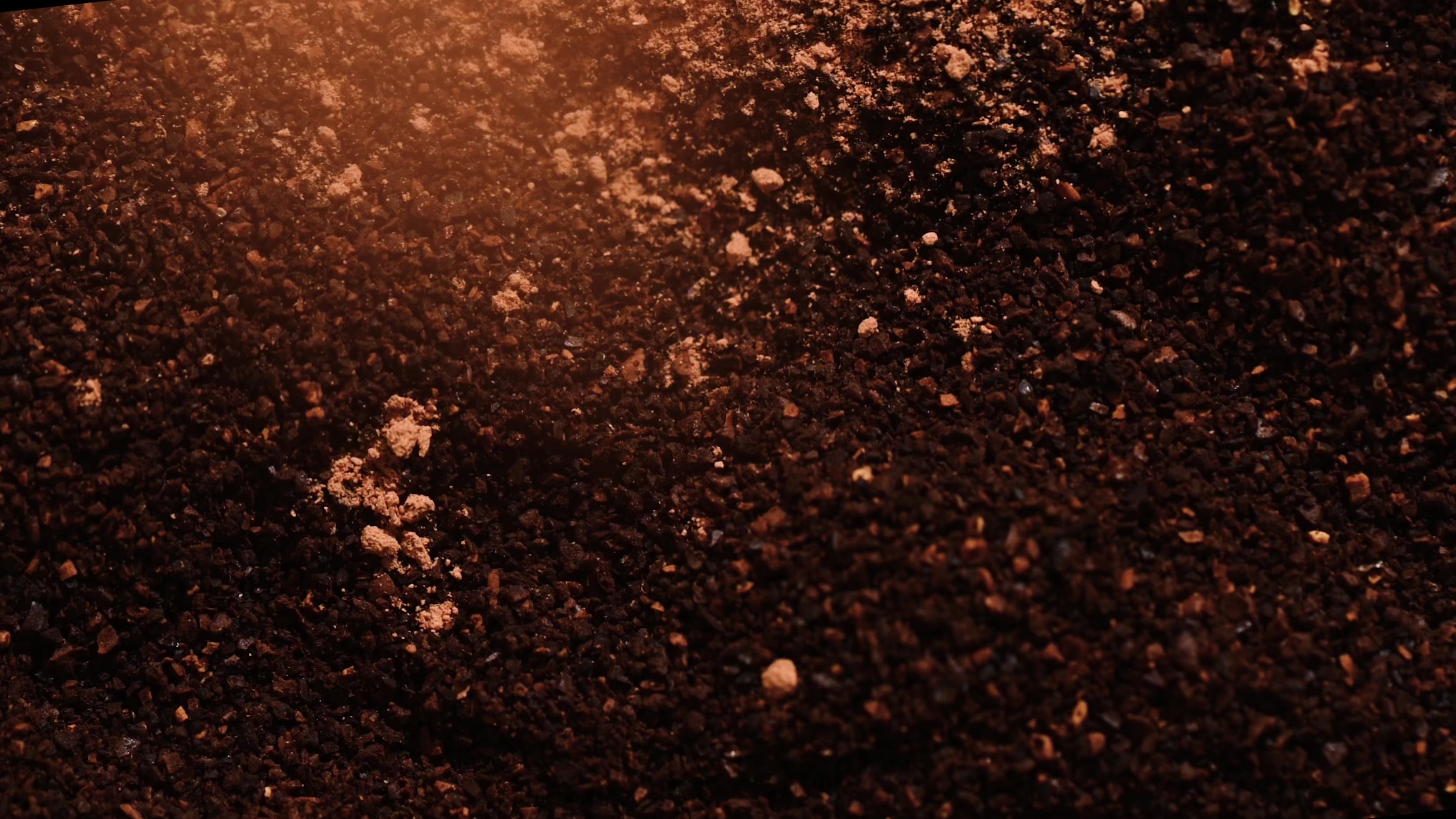 Spiced Mocha